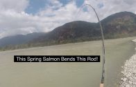 Epic Sockeye Salmon & Spring (Chinook) Salmon Fishing on the Fraser River August 31, 2018