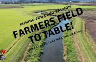 Drone scouting the Nicomekl River for Coho Salmon! Sept 30, 2019