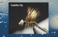 Vise Squad S1E4 || Caddis Fly