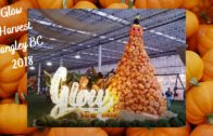 Glow Harvest, Langley, B.C. – Great for Halloween & Fall