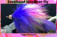 Vise Squad S1E20 || Ziggy Stardust Fly Pattern