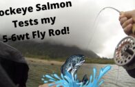 Sockeye Salmon on Chilliwack Lake – Fly Fishing || Goes To 11