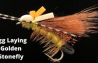 Egg Laying Golden Stonefly – Fly Tying || Vise Squad S2E32