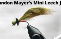 Landon Mayer’s Mini Leech Jig