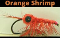 Orange Shrimp – How To Tie Flies || Vise Squad S2E79