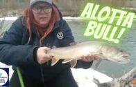 Fishing For Bull Trout