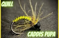 Quill Caddis Puppa – Fly Tying