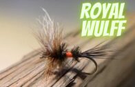 Royal Wulff – How To Tie Flies