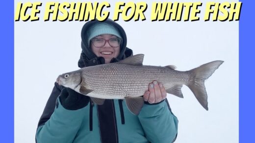 Ice Fishing for White Fish