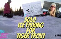 Solo Ice Fishing For Tiger Trout